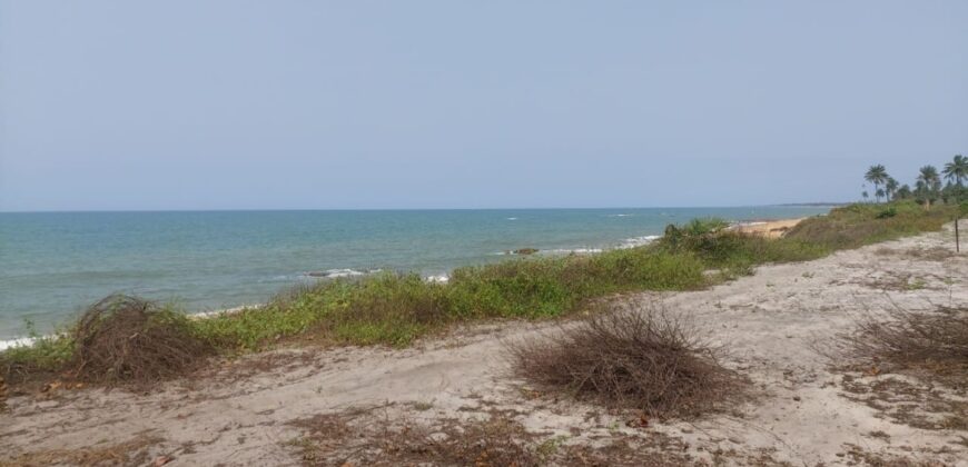 Prime Beachfront Property