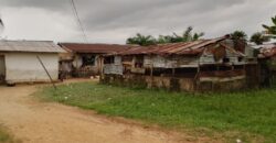 Three Bed-Room House