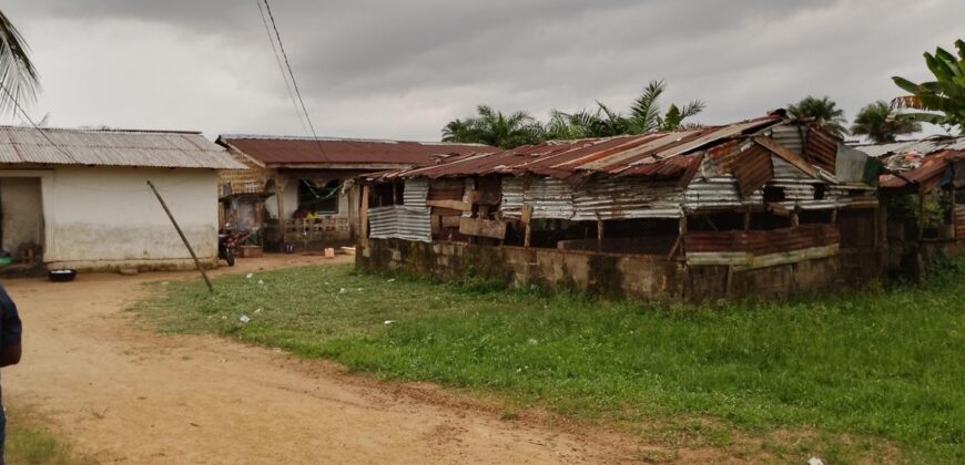 Three Bed-Room House