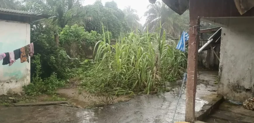 Prime Compound in Banjor Community, Brewerville.