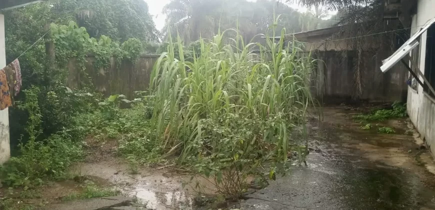 Prime Compound in Banjor Community, Brewerville.