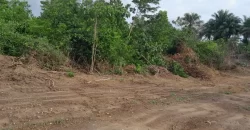 Huge land area in Massaquoi Town.   #103