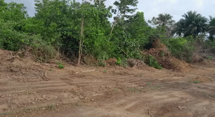 Huge land area in Massaquoi Town.   #103