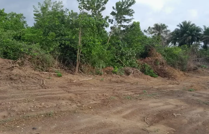 Huge land area in Massaquoi Town.   #103