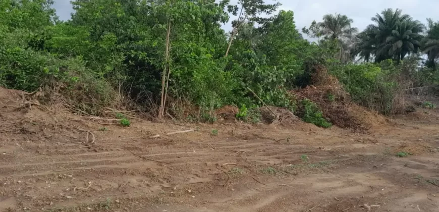 Huge land area in Massaquoi Town.   #103