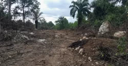 Huge land area in Massaquoi Town.   #103