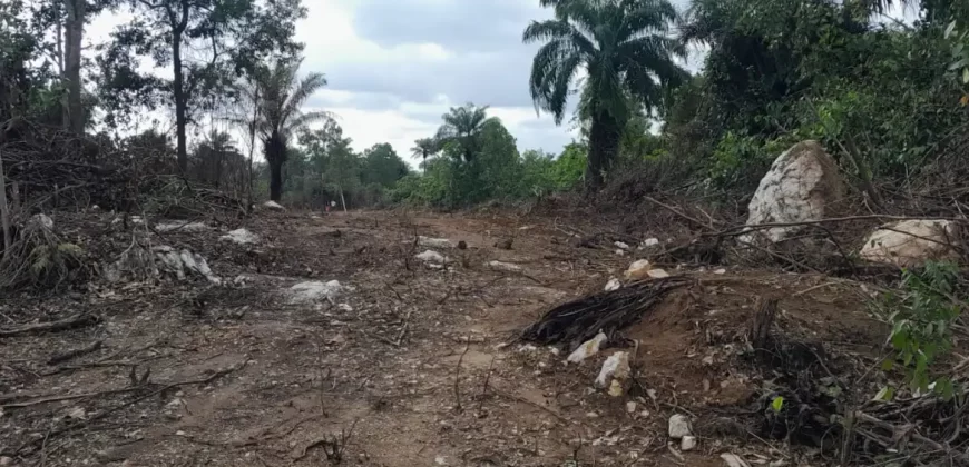 Huge land area in Massaquoi Town.   #103
