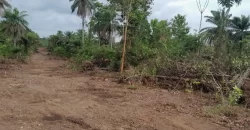 Huge land area in Massaquoi Town.   #103