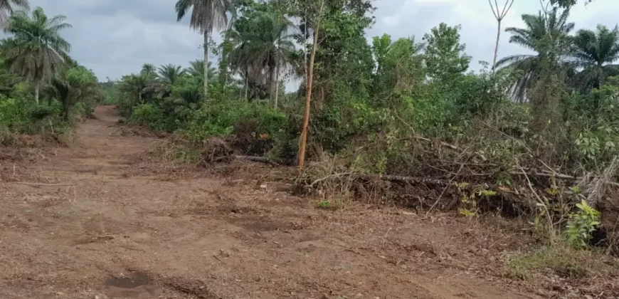 Huge land area in Massaquoi Town.   #103