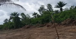 Huge land area in Massaquoi Town.   #103