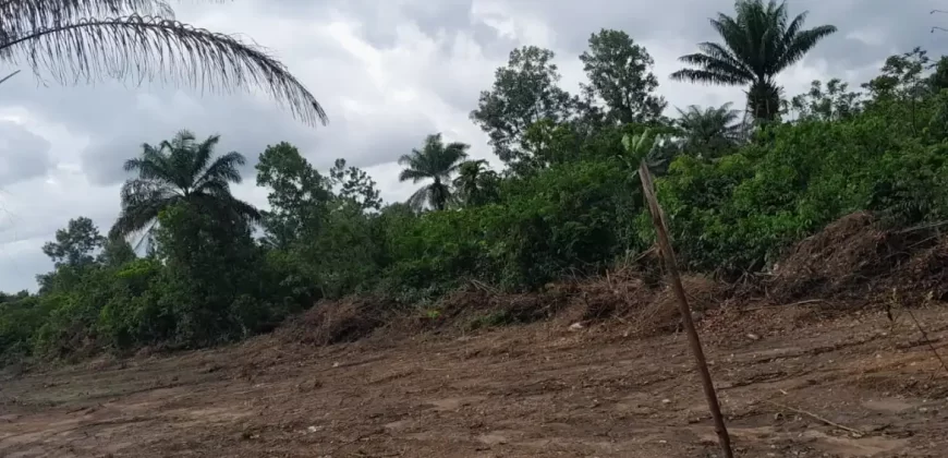 Huge land area in Massaquoi Town.   #103