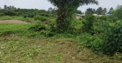 Prime Land near Beach. #104