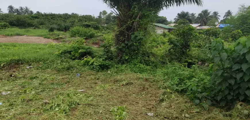 Prime Land near Beach. #104