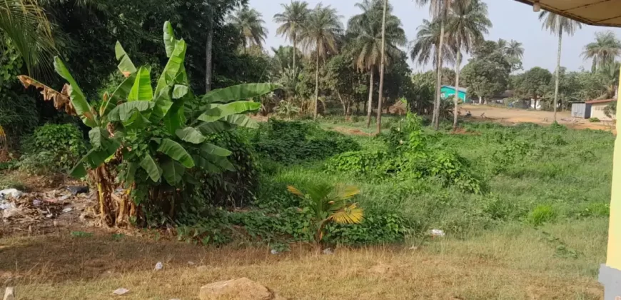 Lot with Unfinished House