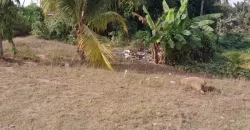 Lot with Unfinished House