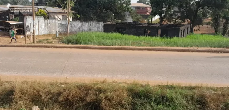 Lot with Unfinished House