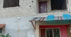 House in New Georgia