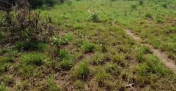 100 Acres for Sale near Airport. #105