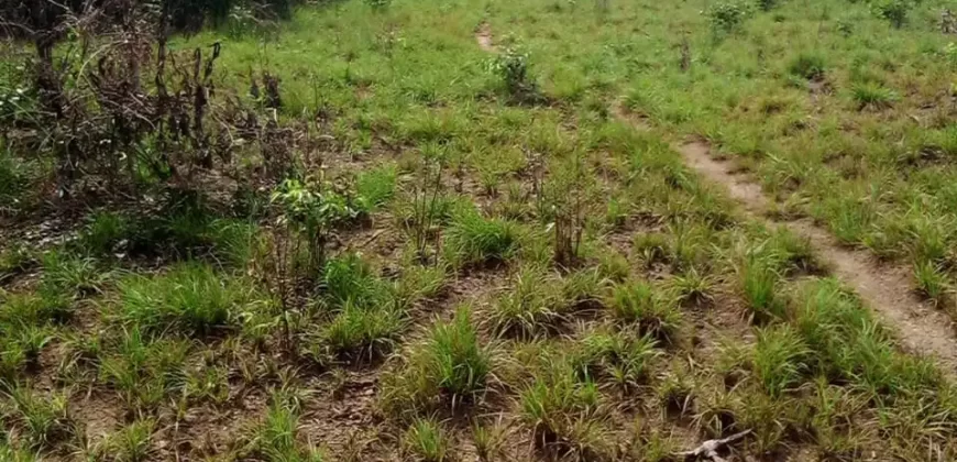 100 Acres for Sale near Airport. #105