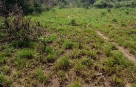 100 Acres for Sale near Airport. #105