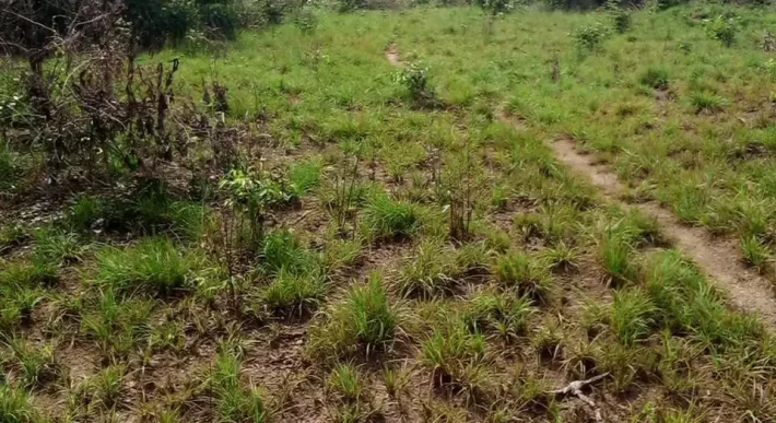 100 Acres for Sale near Airport. #105