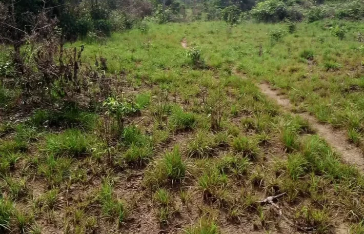 100 Acres for Sale near Airport. #105