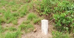 100 Acres for Sale near Airport. #105