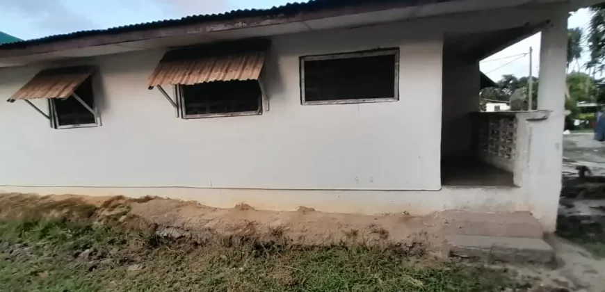 Entire Soule Clinic Property