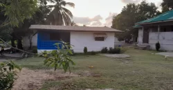 Entire Soule Clinic Property