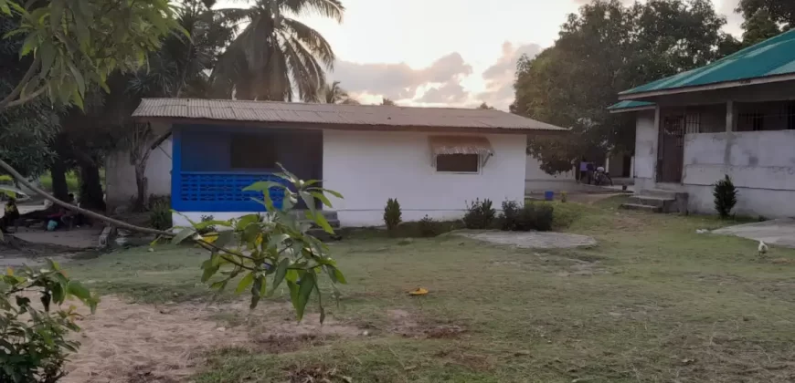 Entire Soule Clinic Property