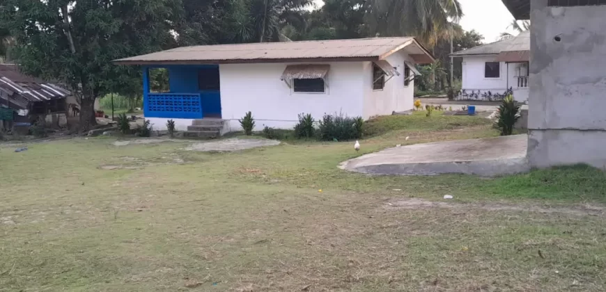 Entire Soule Clinic Property