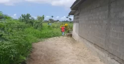 House in Palm Wine Station
