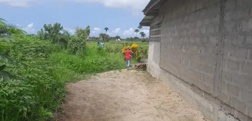 House in Palm Wine Station