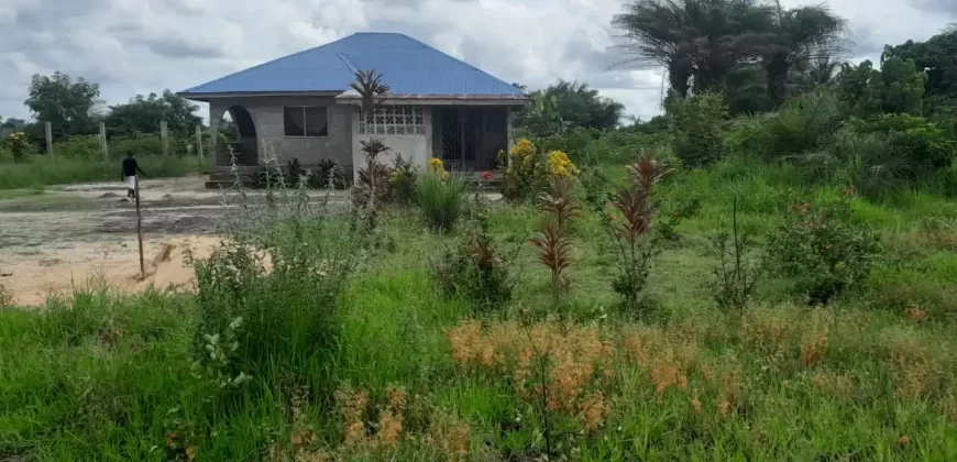 House in Palm Wine Station