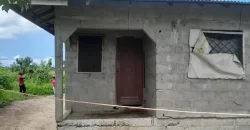 House in Palm Wine Station