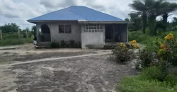 House in Palm Wine Station