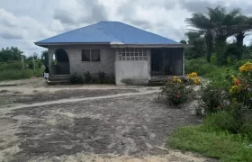 House in Palm Wine Station