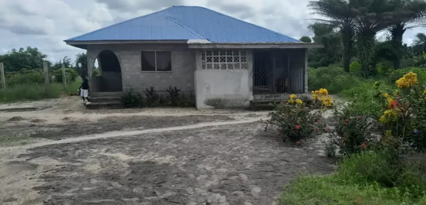 House in Palm Wine Station