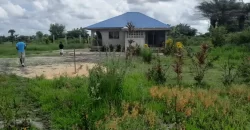 House in Palm Wine Station