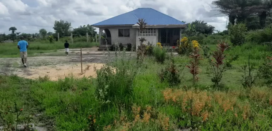 House in Palm Wine Station