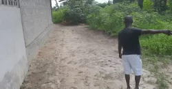 House in Palm Wine Station