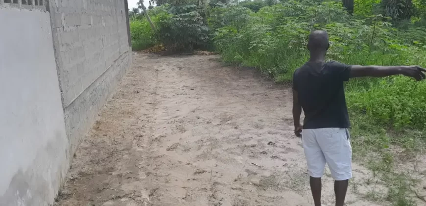 House in Palm Wine Station