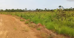 Land Near Charlesville Township. #106