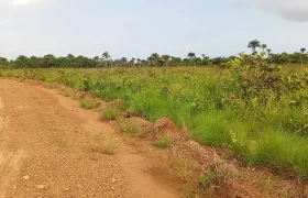 Land Near Charlesville Township. #106
