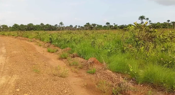 Land Near Charlesville Township. #106