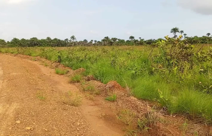 Land Near Charlesville Township. #106