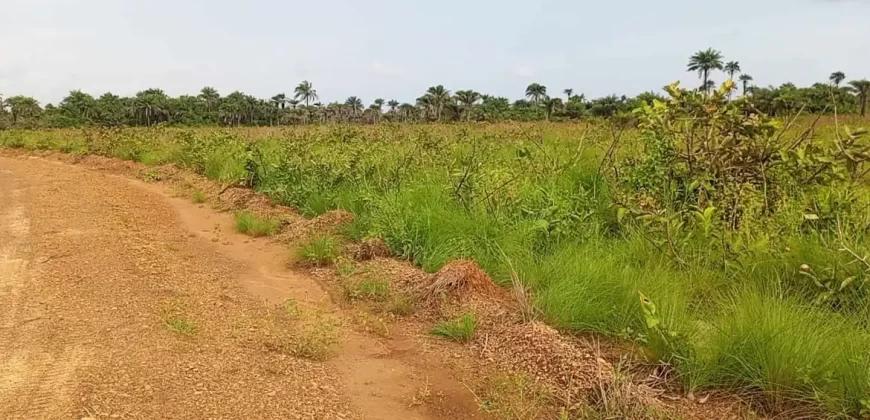 Land Near Charlesville Township. #106