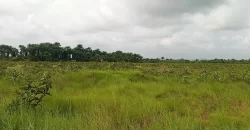 Land Near Charlesville Township. #106