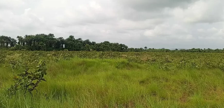 Land Near Charlesville Township. #106