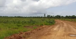 Land Near Charlesville Township. #106